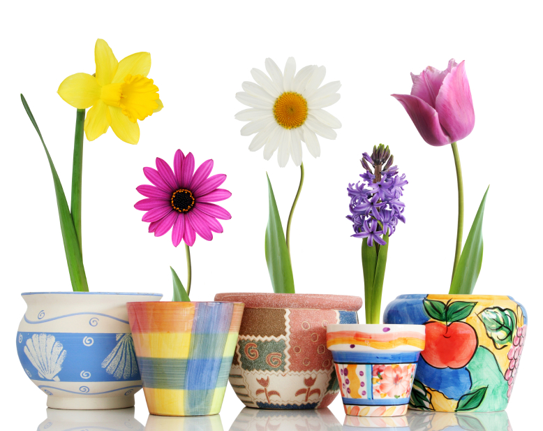 Spring_Flowers_in_Pots.jpg