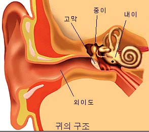 ear-3[1].jpg