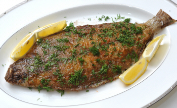 ���ڹ� Ƣ��.jpg