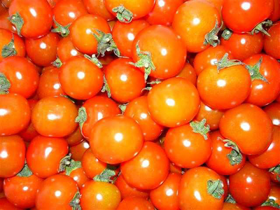 ��� �丶��.jpg