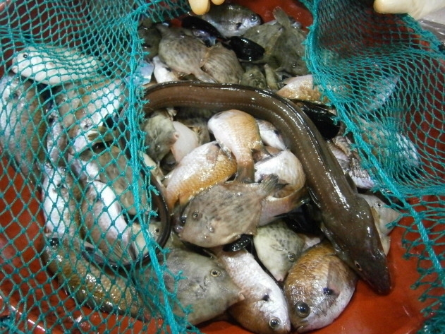 ����ҽ���  ��︮�� �����ȸ��.jpg