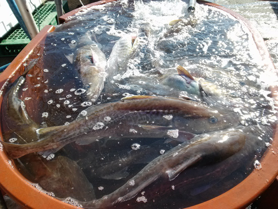 ����ִ� ���뱸.jpg