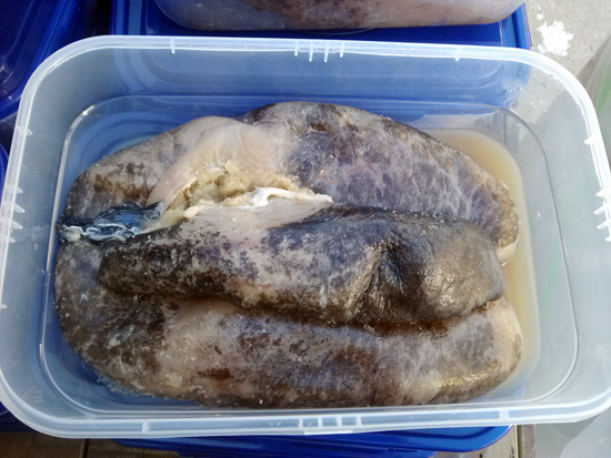 �뱸������ ���߰��� , ���⸧ , ���������� ���� �����̴�.jpg