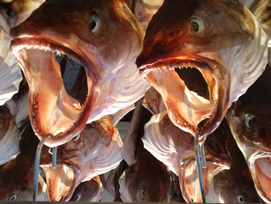 �뱸�� ������ ���� ¼ �Դ´�.jpg