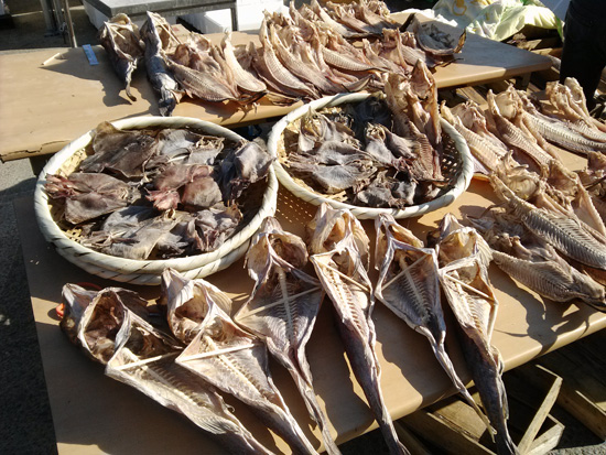 �Ǵ뱸 , �Ʊ� ,���ޱ� ,.jpg