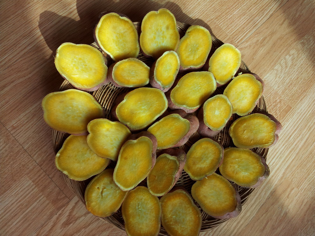 ������ �ߴ��.jpg