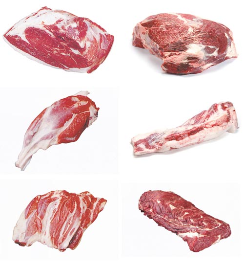 ���� ù��°����, ����,  ���, ���� , ���� , �մٸ�, ���,.jpg