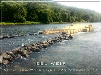 eel -weir- skeketch[ 2].png