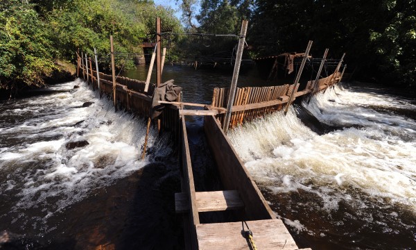 eelman\'s weir [3].jpg