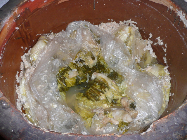 ���߸� �ұݹ��� ���� �Ÿ��� �����������Ƶд�(�߱�).jpg