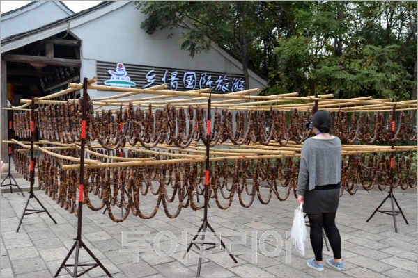 �߱��� ���� �Ҽ���(����â�ڿ� ���� �޴ٸ���� ��踦 ������ �־� �� �� ũ�� ������ �Ƿ� ���� ������ . �̹ۿ��� �������⵵ ���忡 �߶� ������ �����ΰ� ������ �ִٰ��Ѵ�).jpg