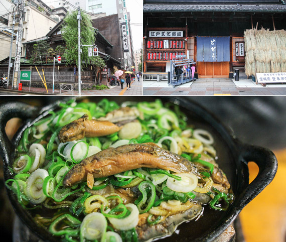 �Ϻ��� �̲ٶ�����(����,�̸�,���� ,�̼ҷ� ���� �������� �����ϰ� ������ ������ ���� ���� ���⿡ ���� �ٴ�⸦ ���Դ´�).jpg