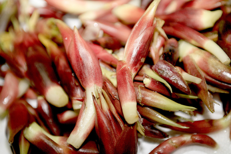 ����, ��� , ���ϰ�.jpg