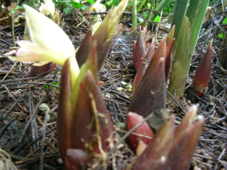 ���� 1576.jpg