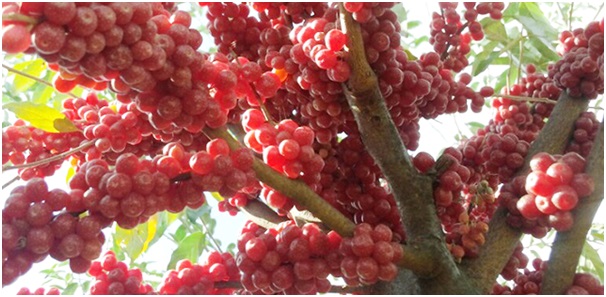 ������ 1.jpg