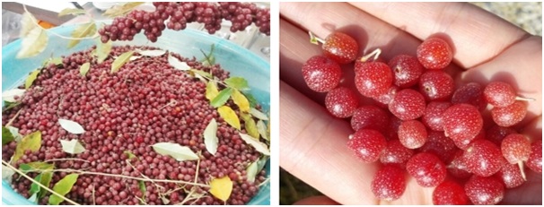 ������ 2.jpg