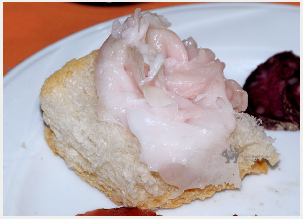 1583  Lardo ������.jpg