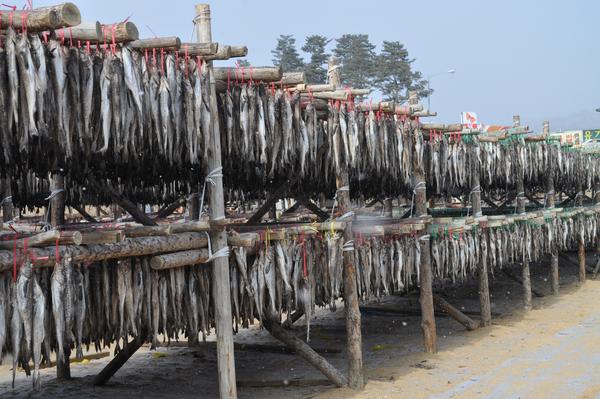 1588 ���´���.jpg