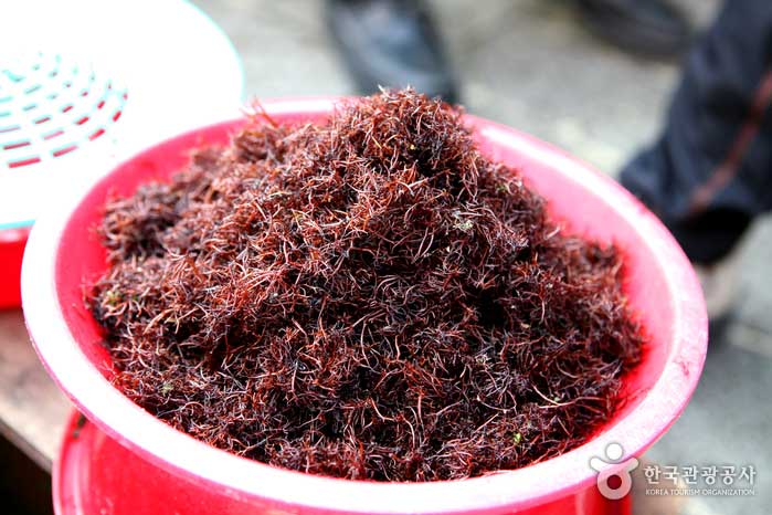 ���� ��ø�.jpg