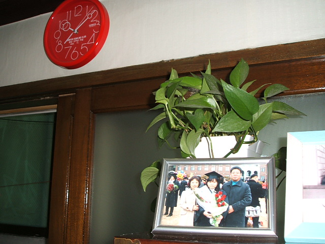 DSCF8366.JPG