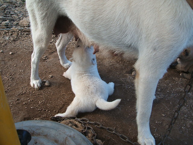 DSCF8359.JPG