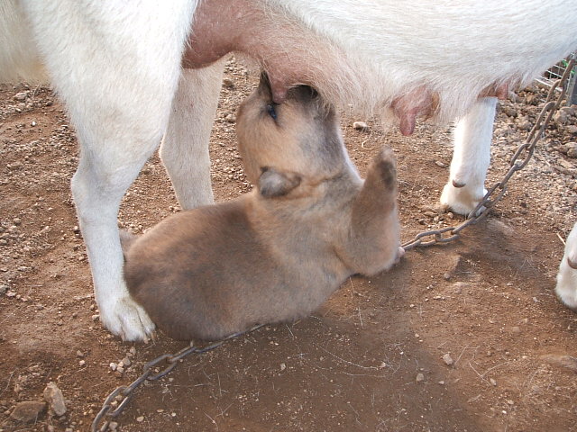 DSCF8363.JPG