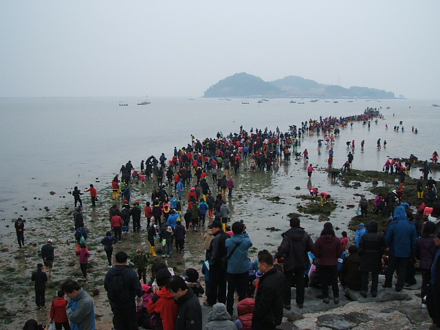 DSCF8637.JPG
