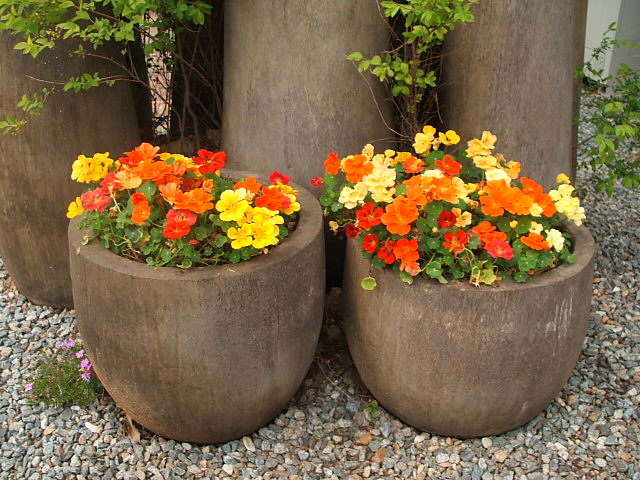 DSCF8928.JPG