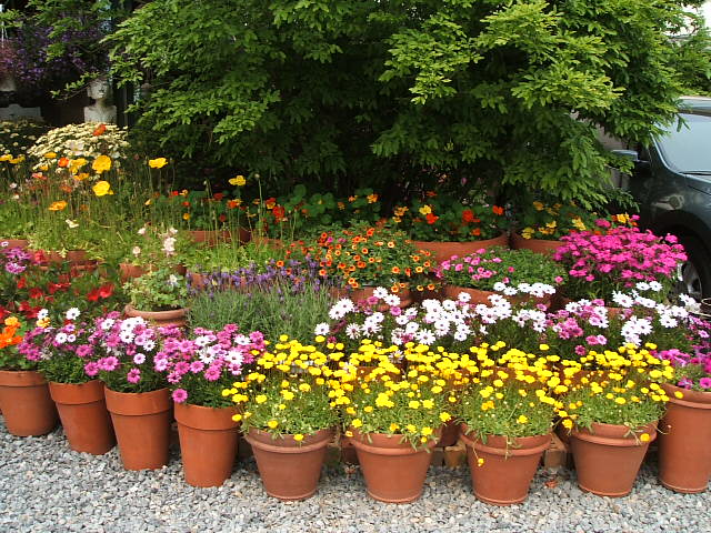 DSCF8925.JPG