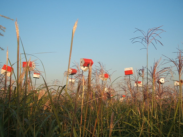 DSCF9791.JPG