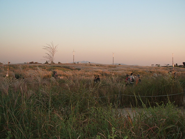 DSCF9812.JPG