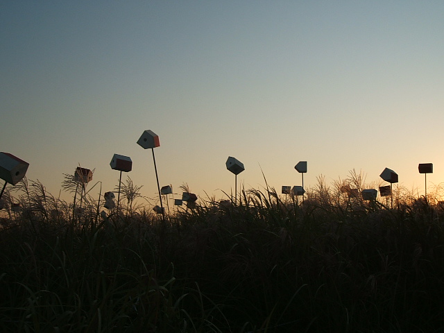 DSCF9801.JPG