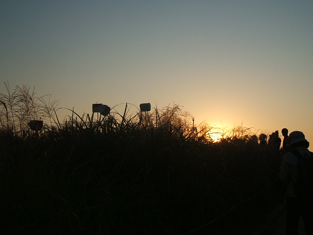 DSCF9800.JPG