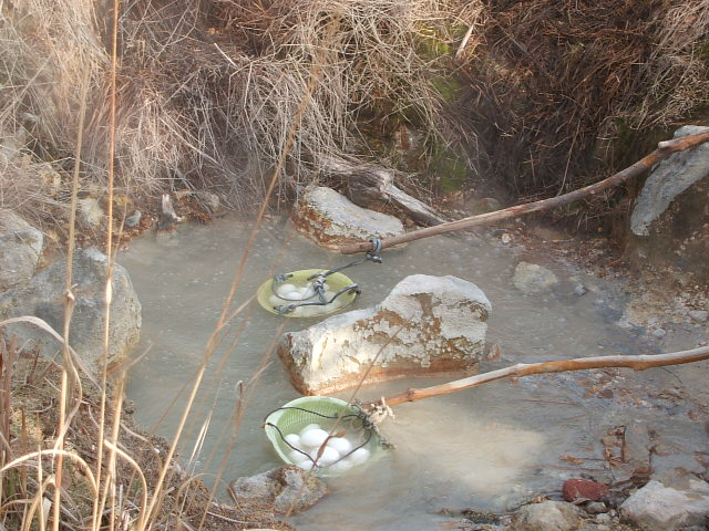 DSCF0462.JPG
