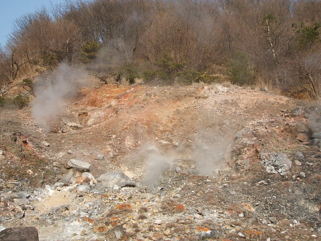 DSCF0464.JPG