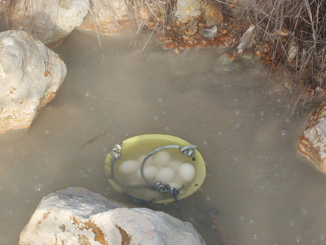 DSCF0463.JPG