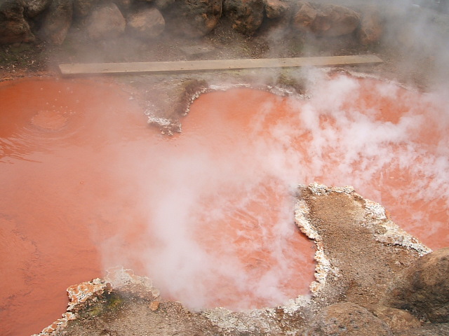 DSCF0477.JPG