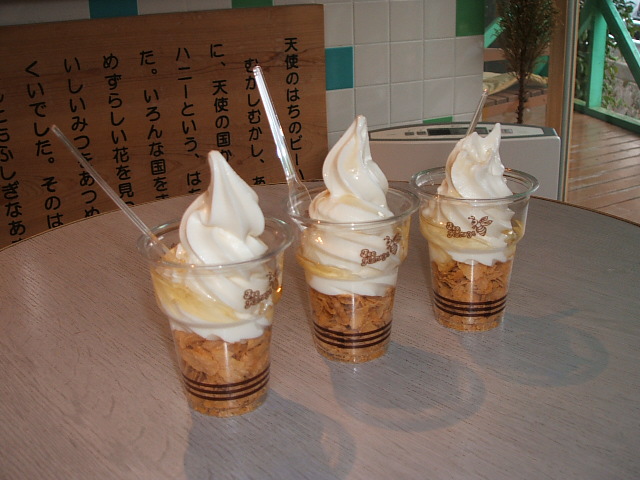 DSCF0483.JPG