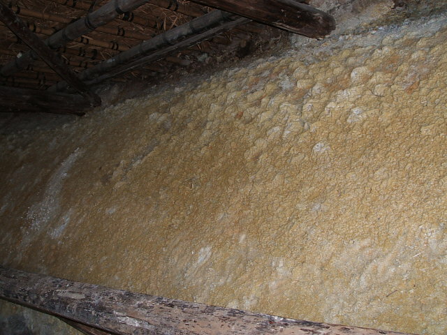 DSCF0469.JPG