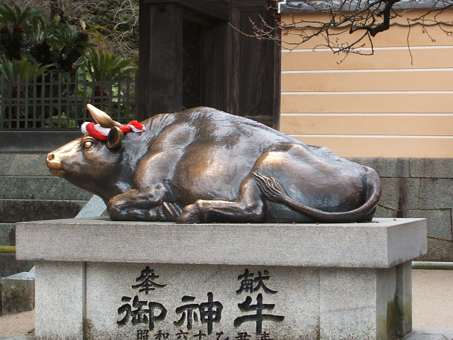 DSCF0497.JPG