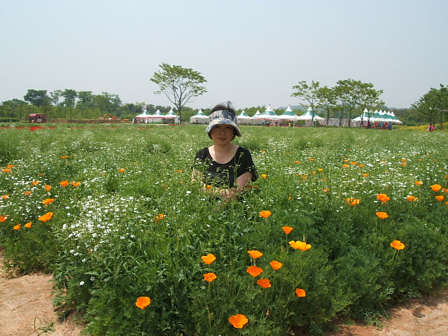 DSCF0603.JPG