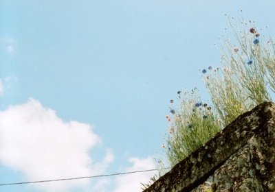 colorofbasic_sky214_colorofbasic.jpg