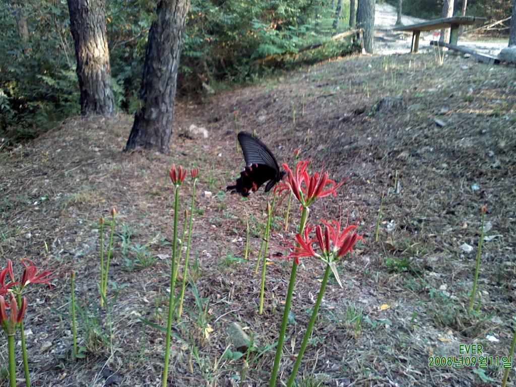 p080911_004.jpg