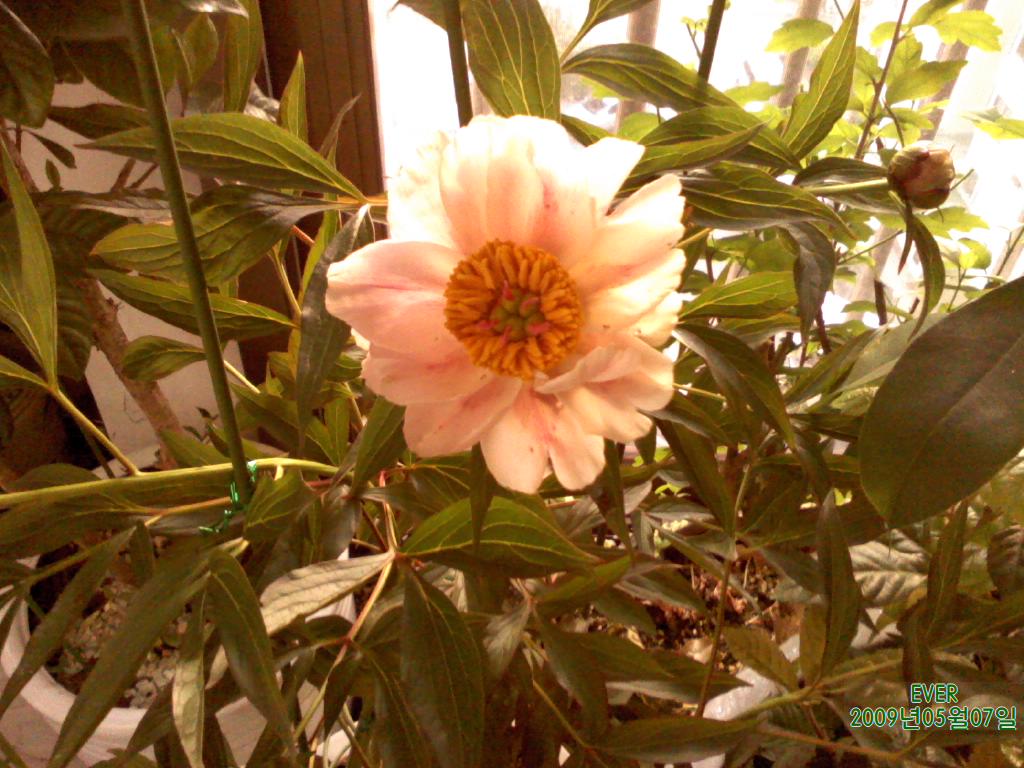 p090507_000.jpg