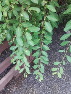 ����120716_000.jpg