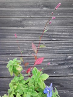 ����120920_000.jpg