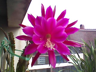 ����080621_1.jpg