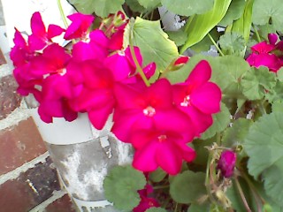 ����080616_16.jpg