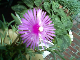 ����080616_19.jpg