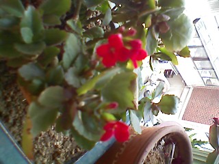 ����080616_28.jpg